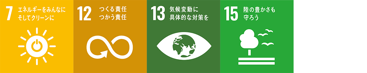 SDGs